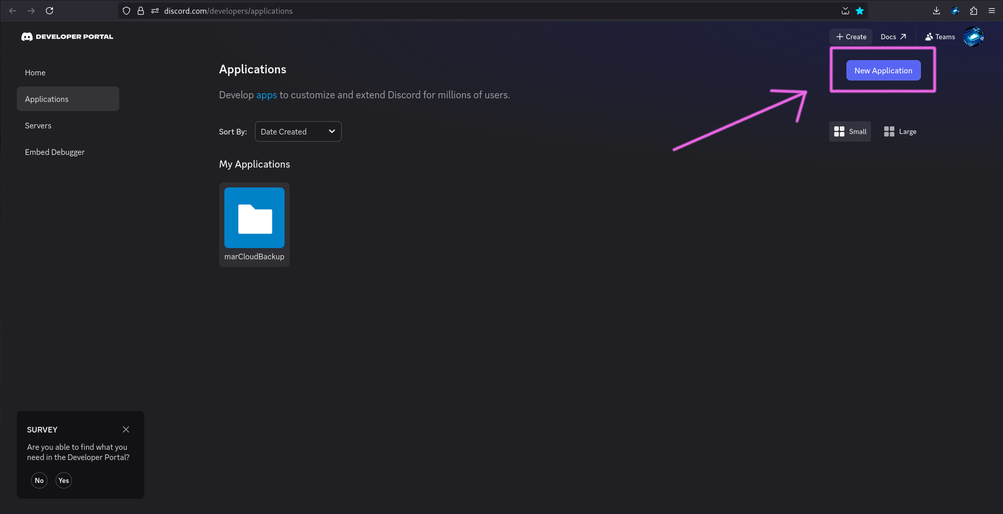 Discord Developer Portal Applications